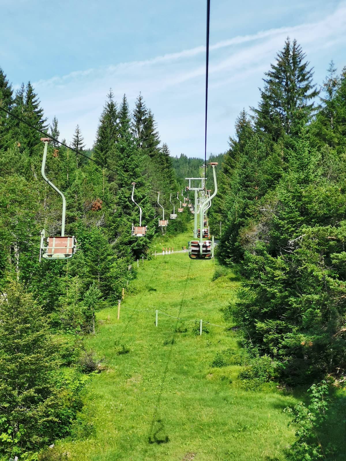 Zirben Cart Descent