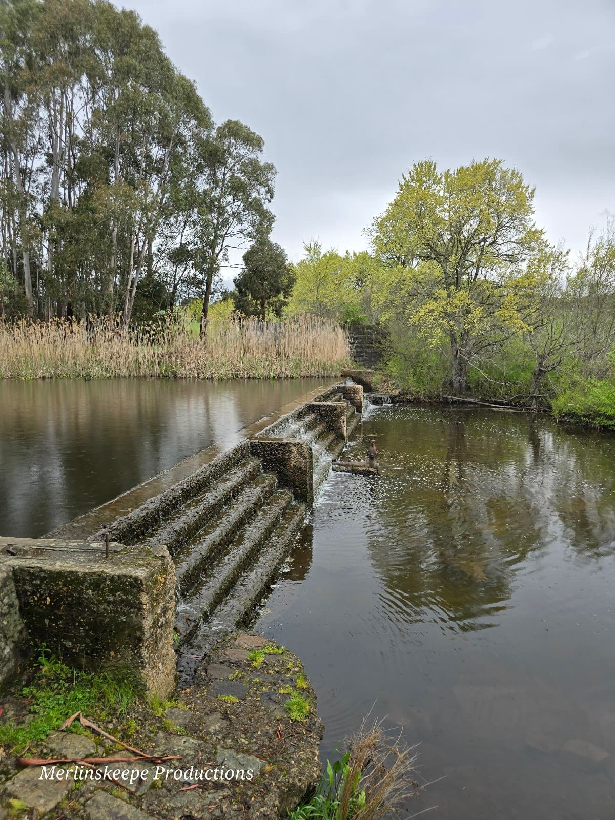 Campaspe River Walk (Kyneton) - Image 1