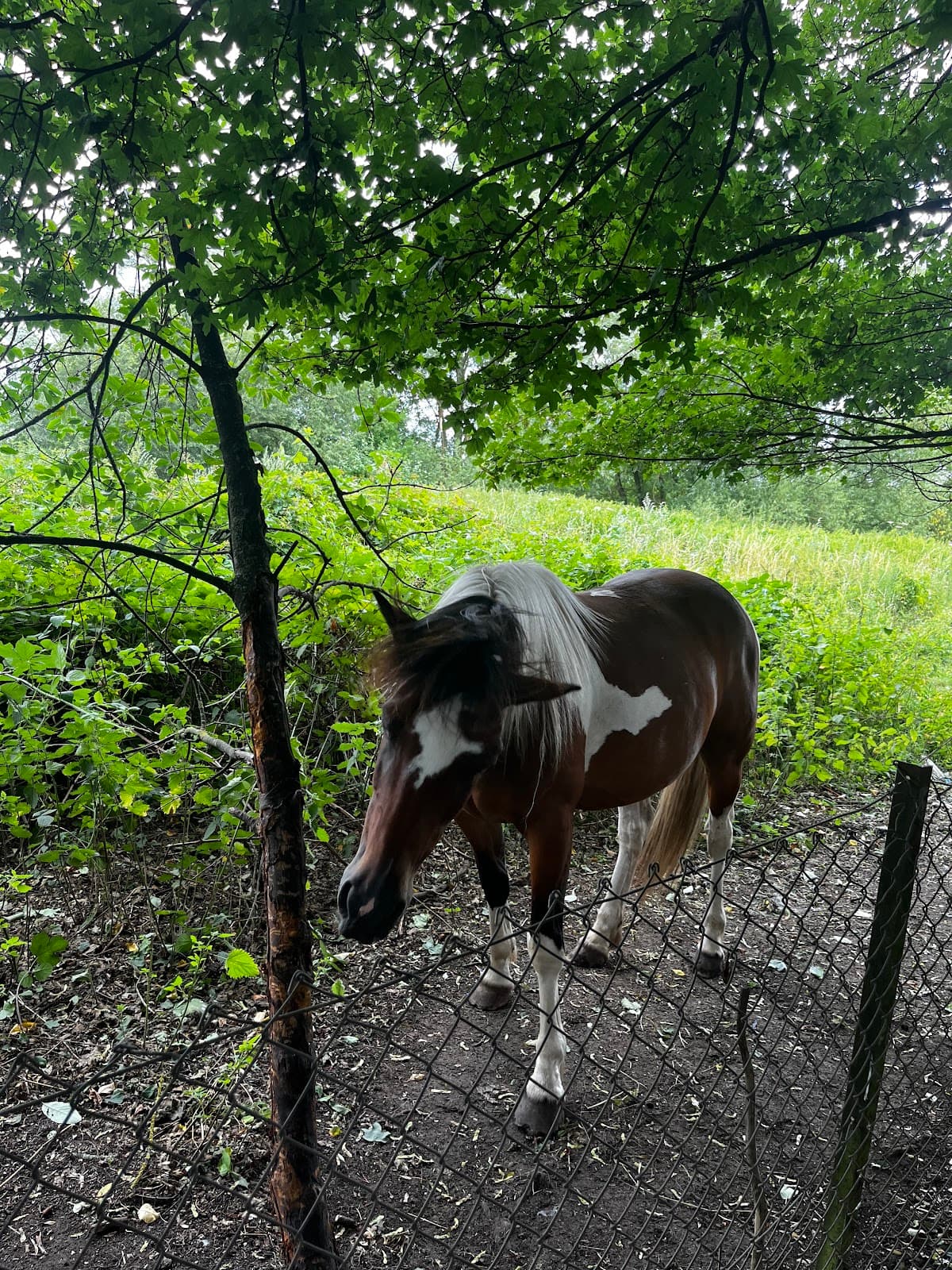 Frays Farm Meadows - Image 1