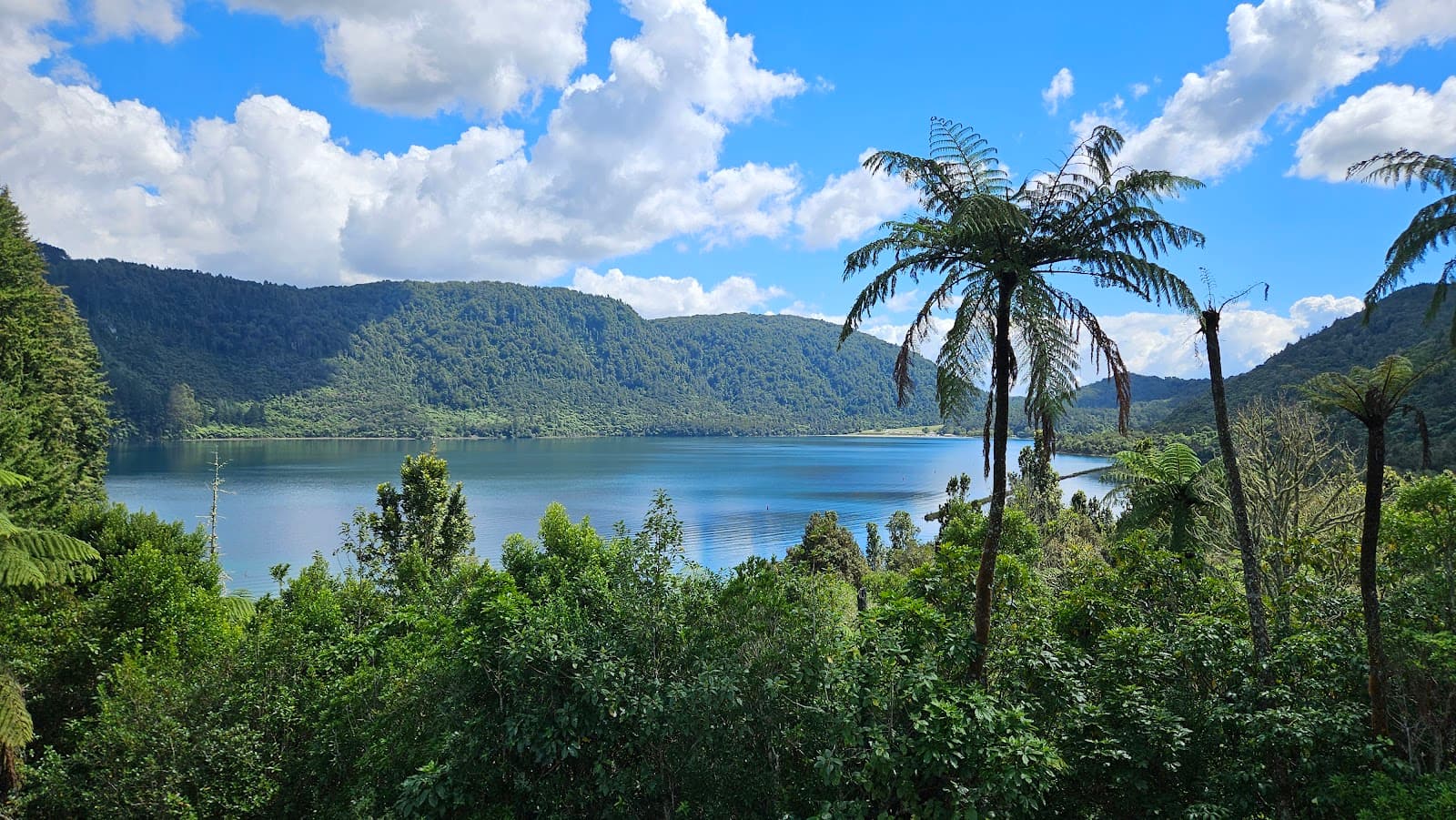 Lake Tikitapu Blue Lake - Image 1