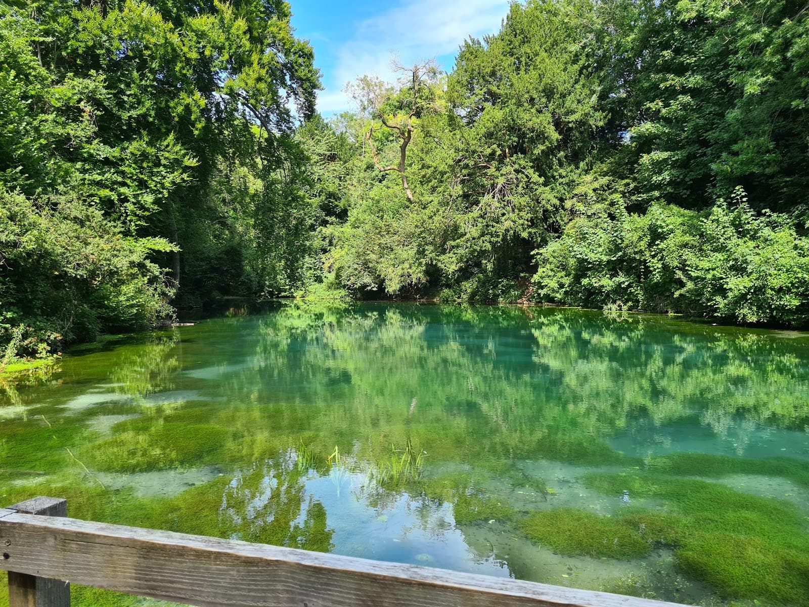 Silent Pool - Image 1