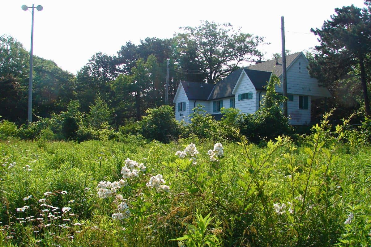 Nature Trails & Wildlife