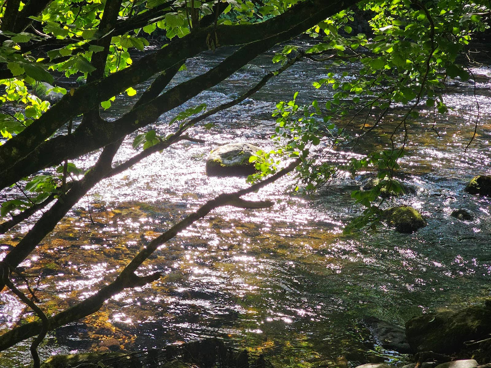 Vertical photo