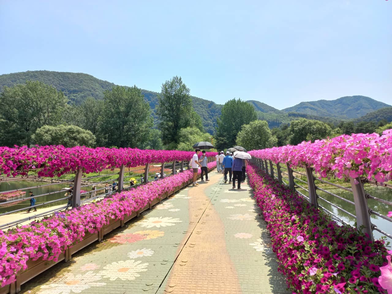 Outdoor Performance Venue