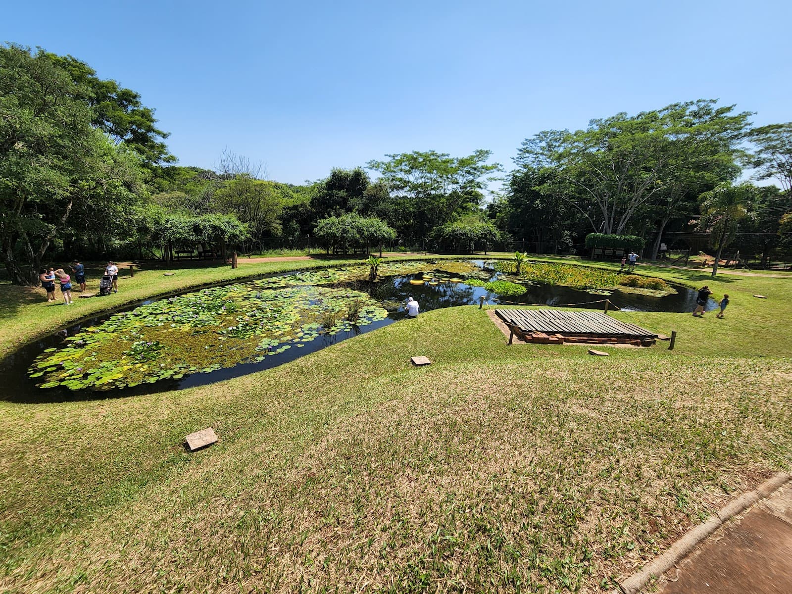 Jardim Botânico Municipal de Bauru São Paulo Brazil - Image 1