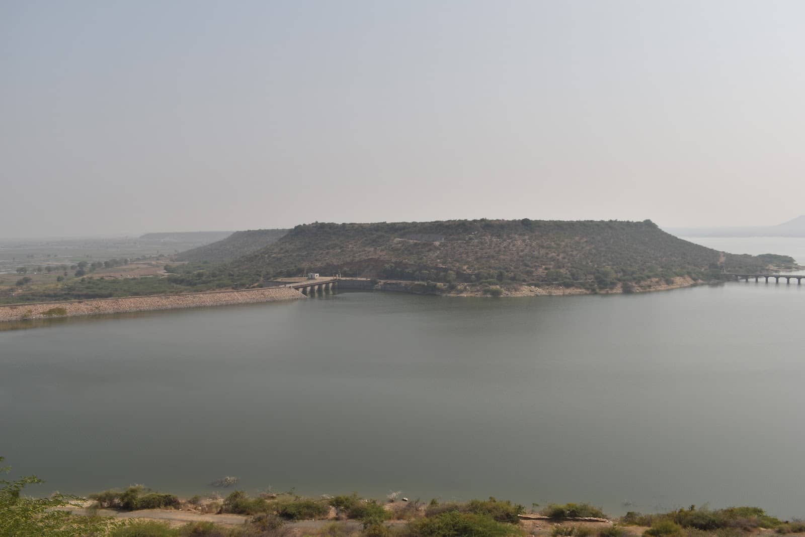 Surrounding Greenery