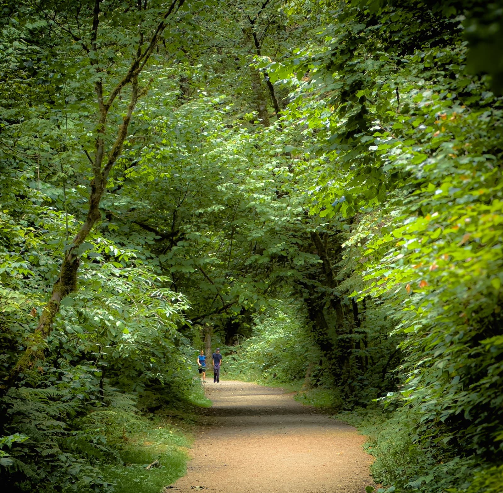 Houston Trail - Image 1