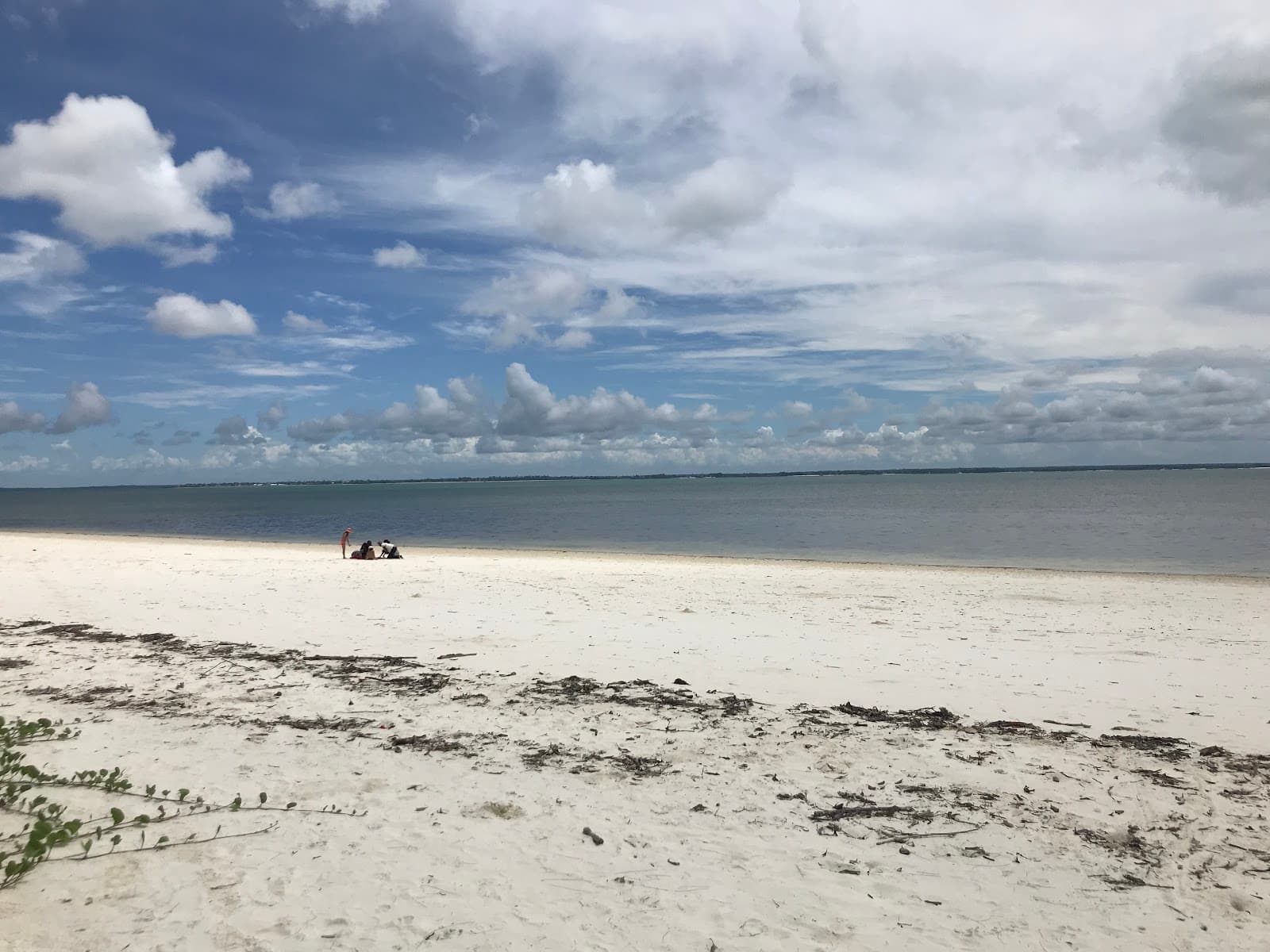 Chwaka Bay - Image 1