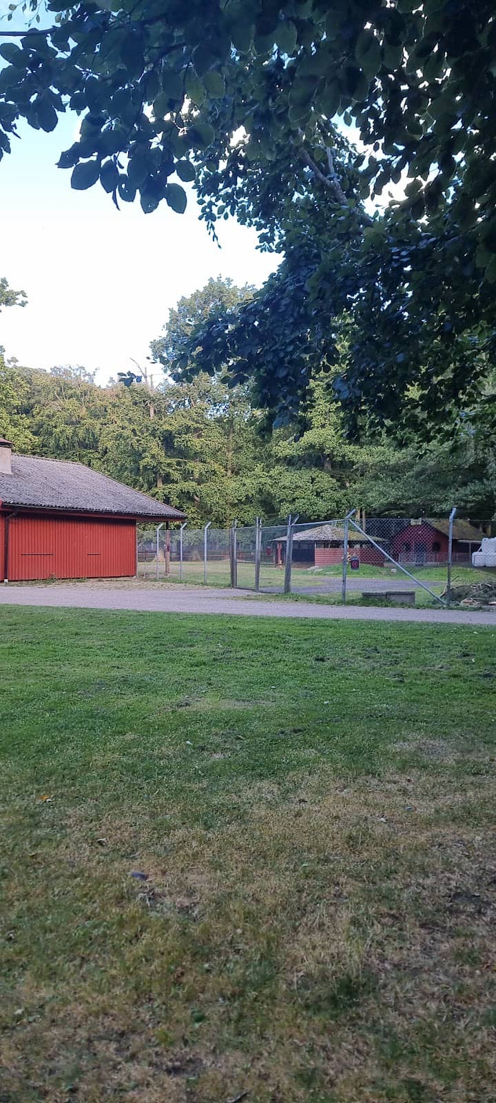 Pifflboxen Game Rentals