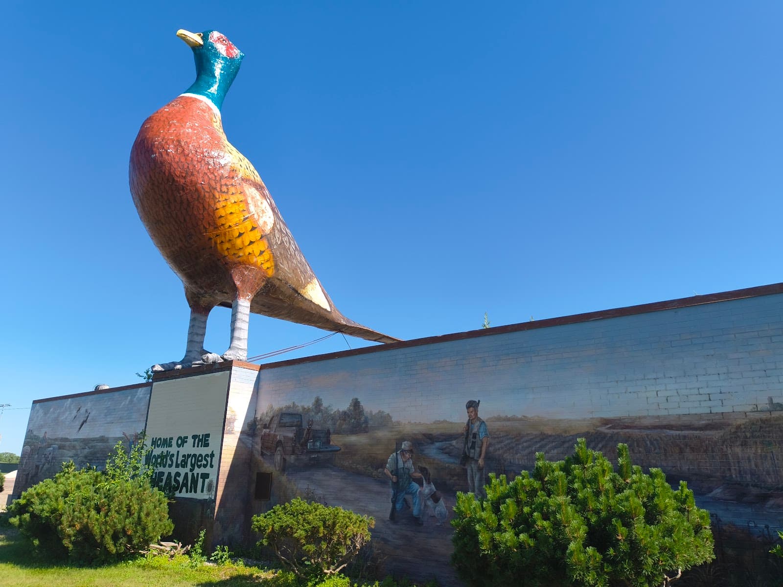World's Largest Pheasant (Huron) - Image 1