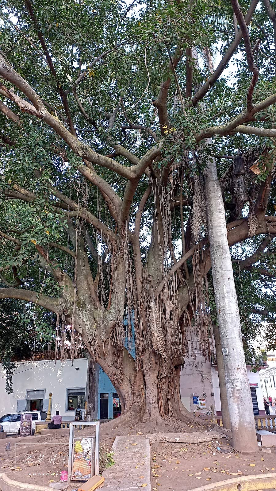 Vertical photo