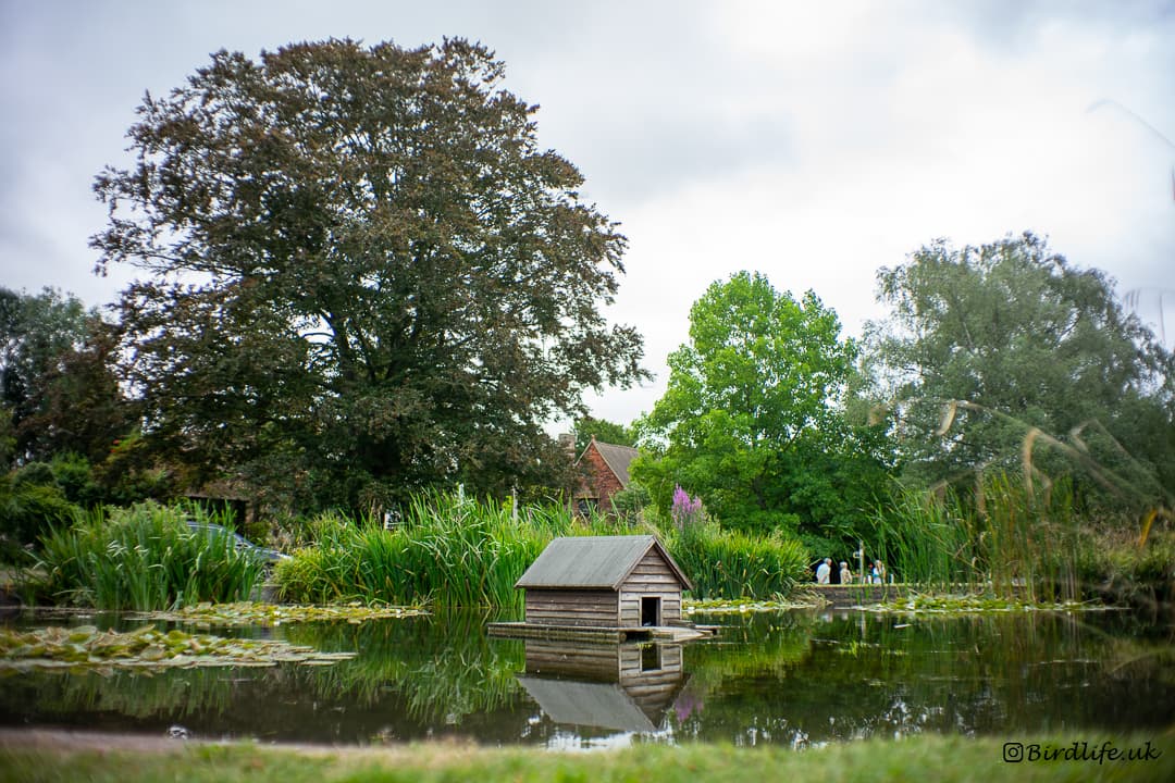 Otford Pond - Image 1
