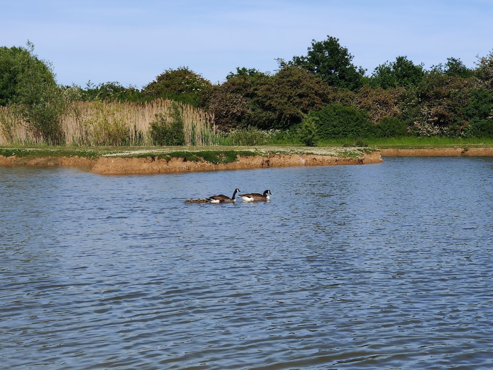 Wick Country Park - Image 1