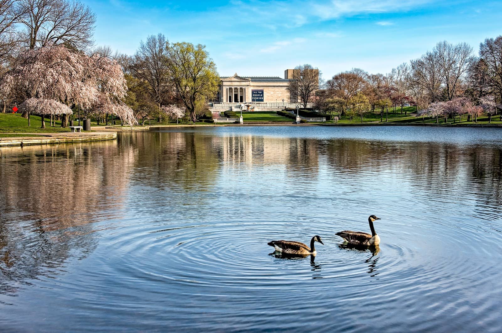 Architectural Harmony