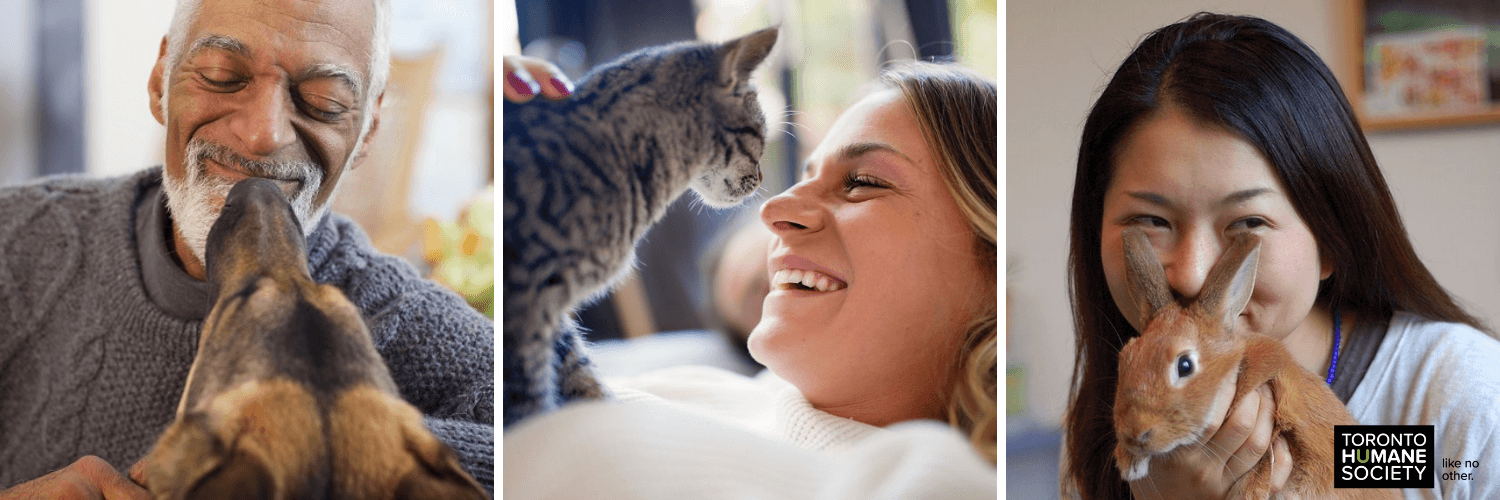 Community Veterinary Care