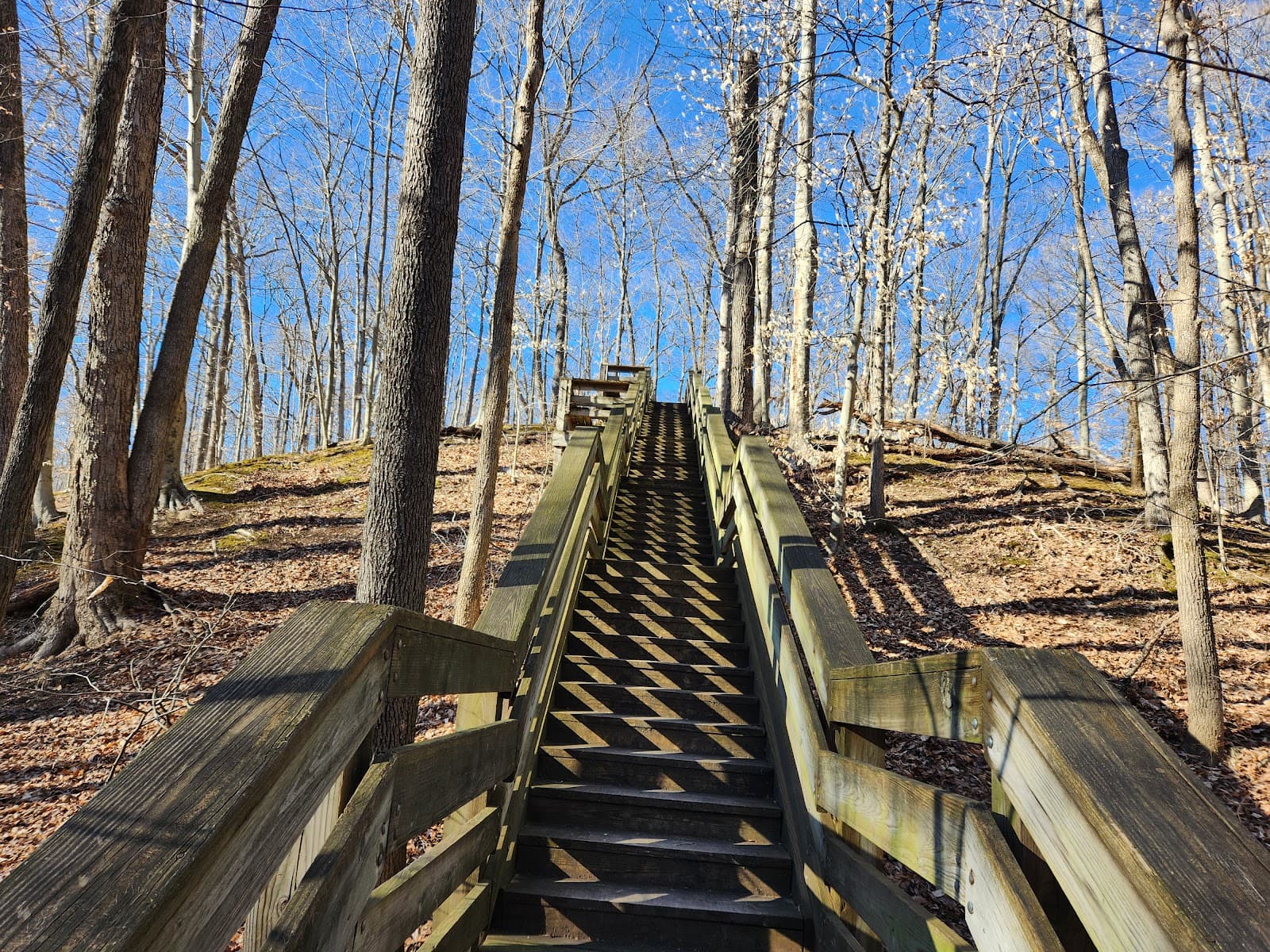 Lincoln Trail State Park - Image 1