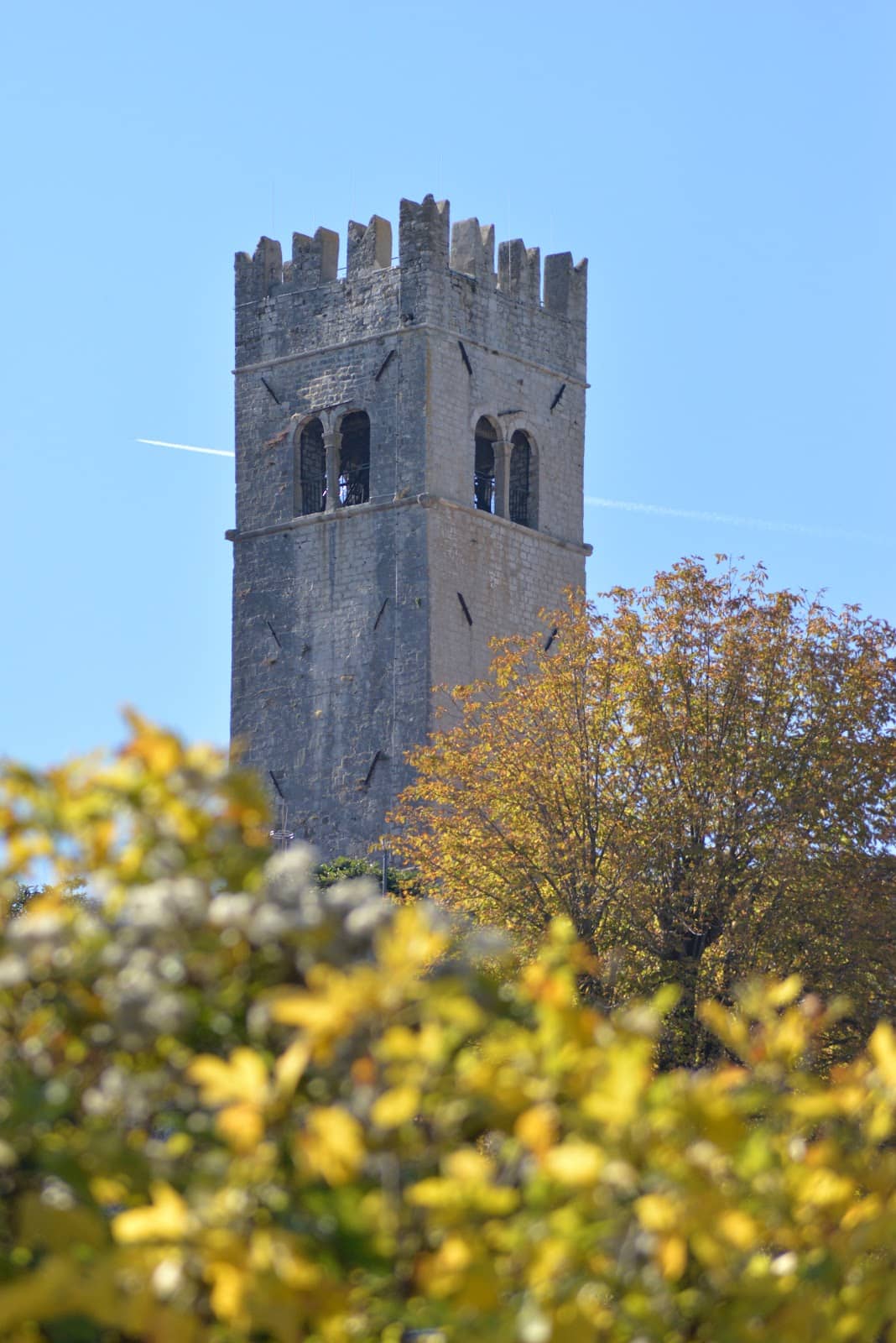 Vertical photo