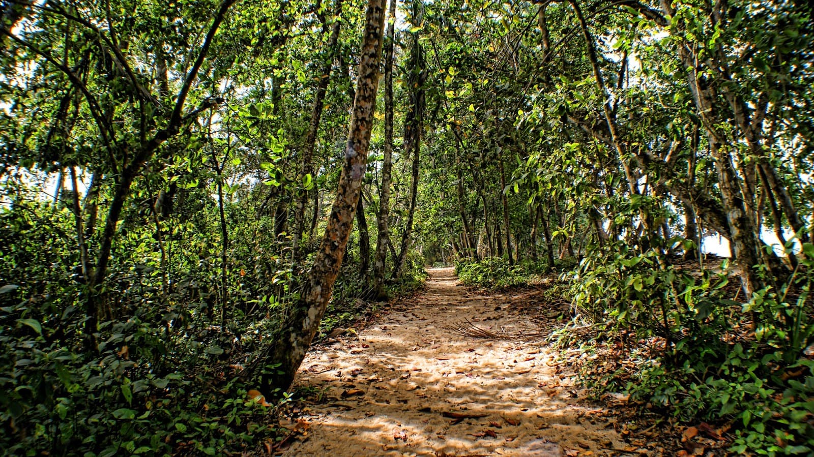 Cahuita National Park (Cahuita Sector) - Image 1