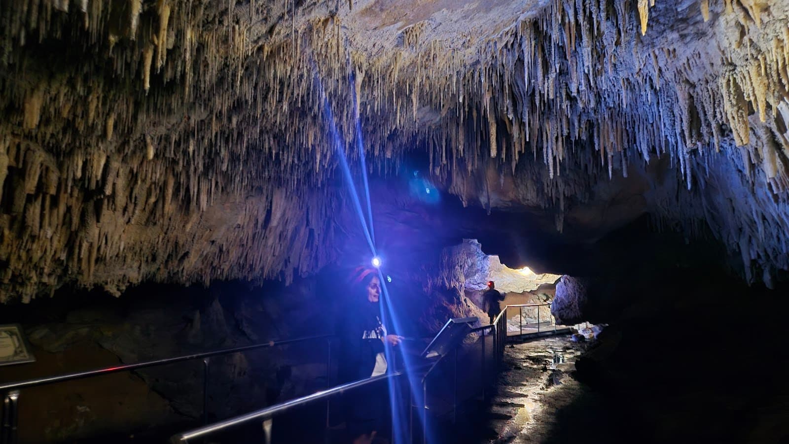 Calgardup Cave - Image 1