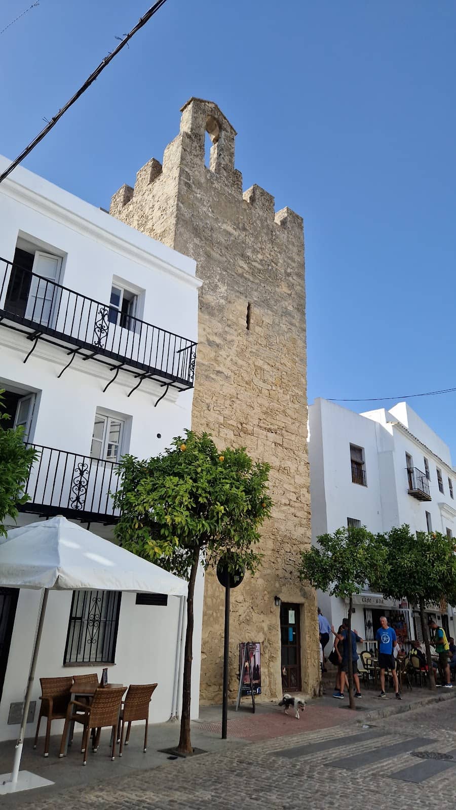Vertical photo