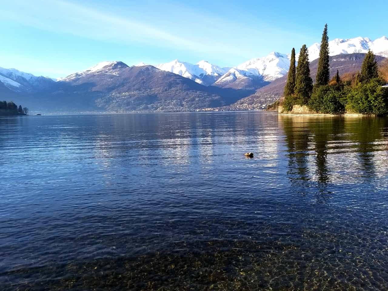 Vertical photo