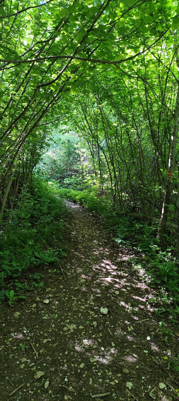Woodland Trails