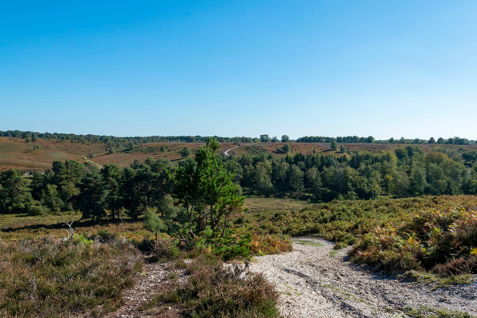 Elevated Plateau Views