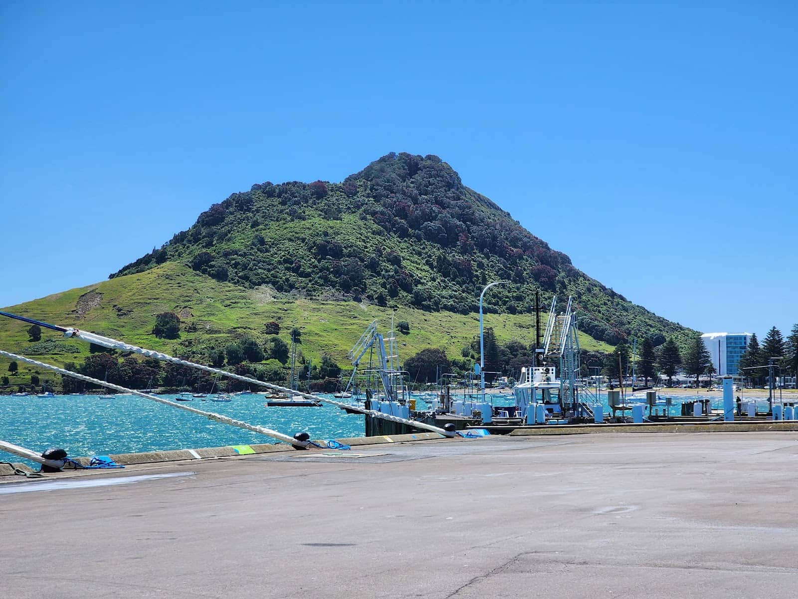 Proximity to Mount Maunganui