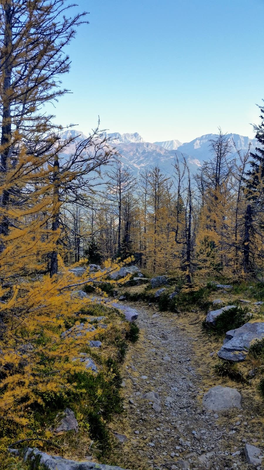Saddleback Pass - Image 1