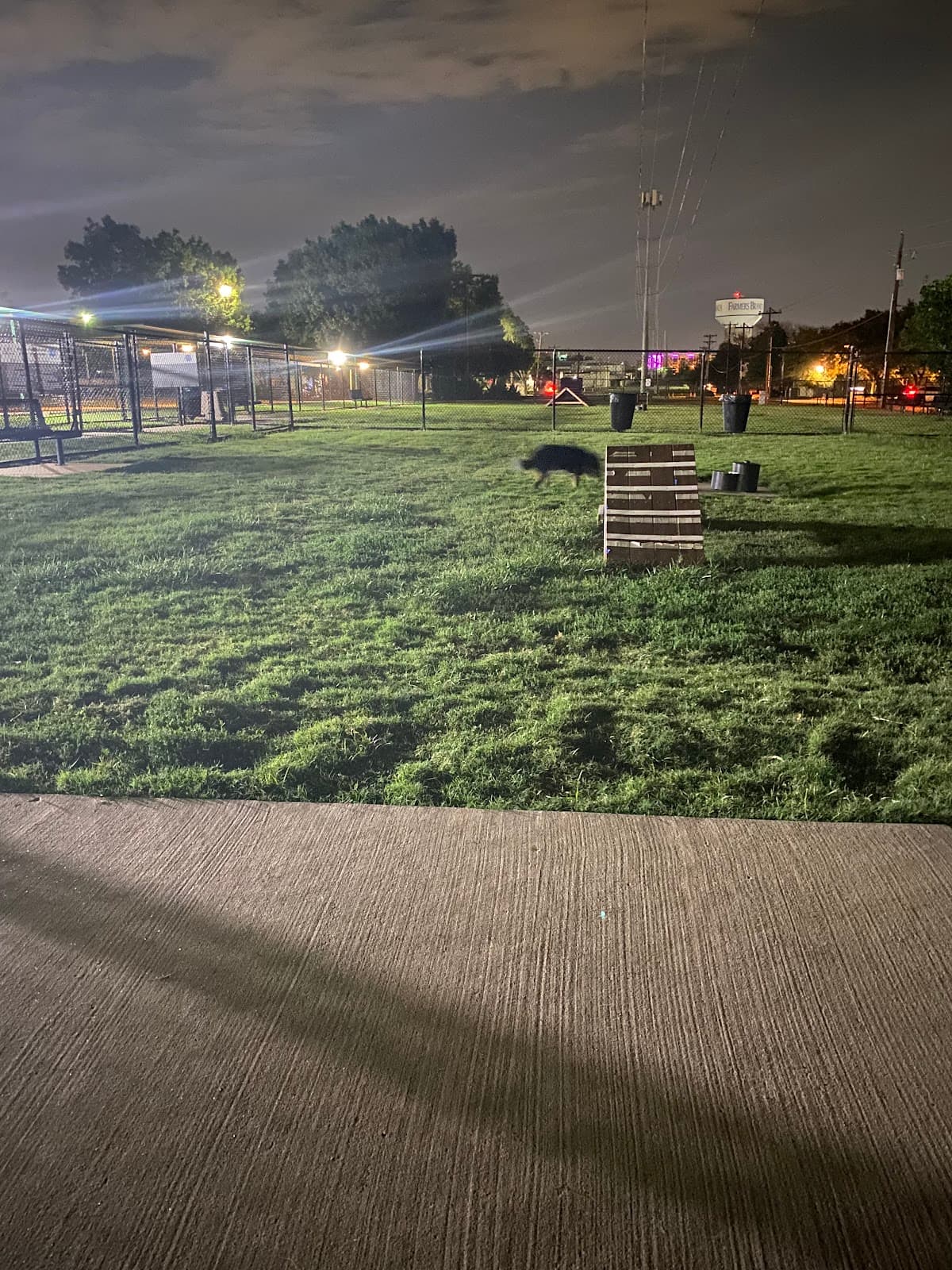 Redding Trail Dog Park - Image 1