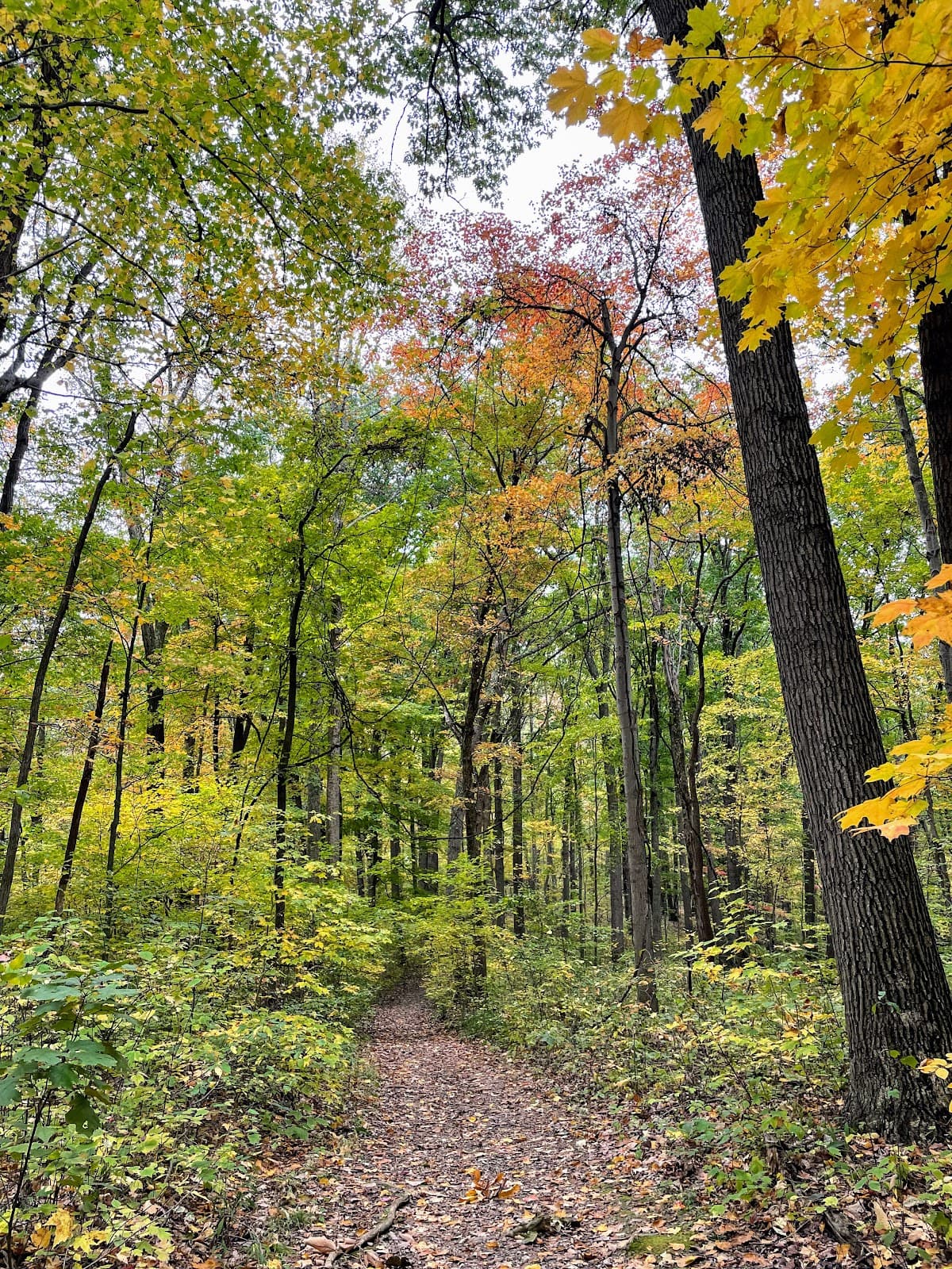 Clear Creek Metro Park - Image 1