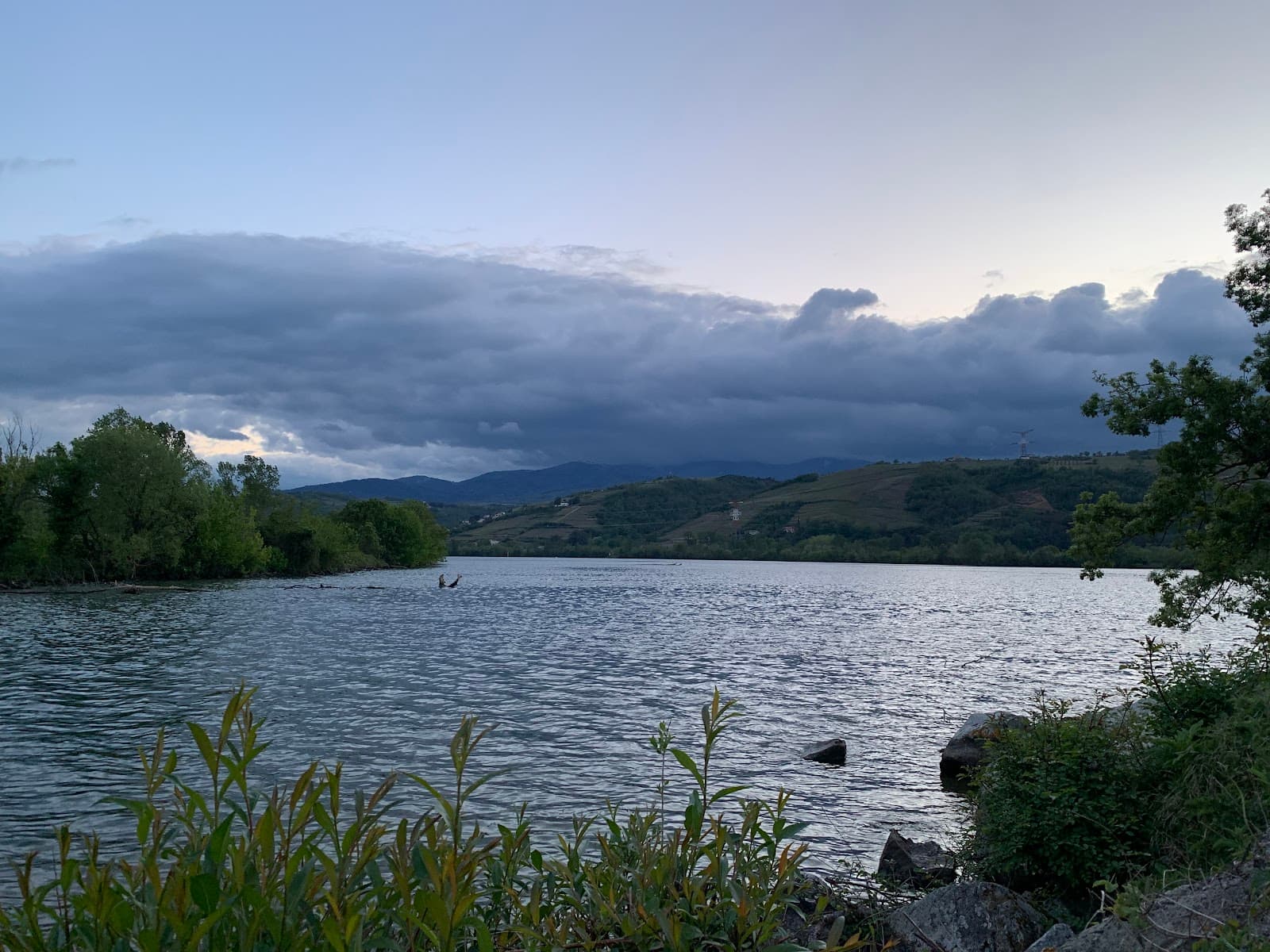Berges du Rhône Promenade - Image 1
