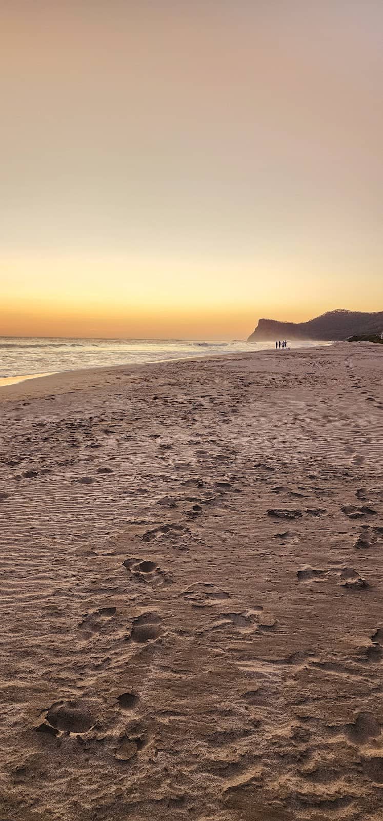 Stunning Ocean Vistas