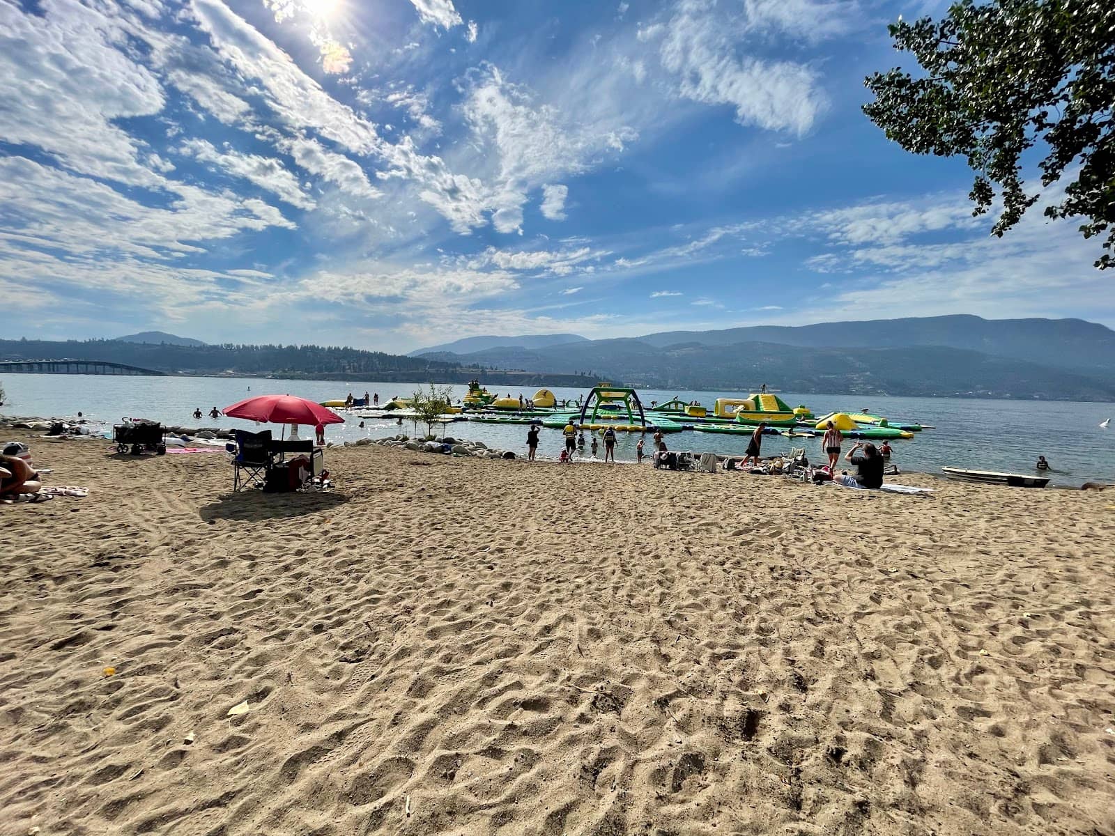 Relaxing Water Garden