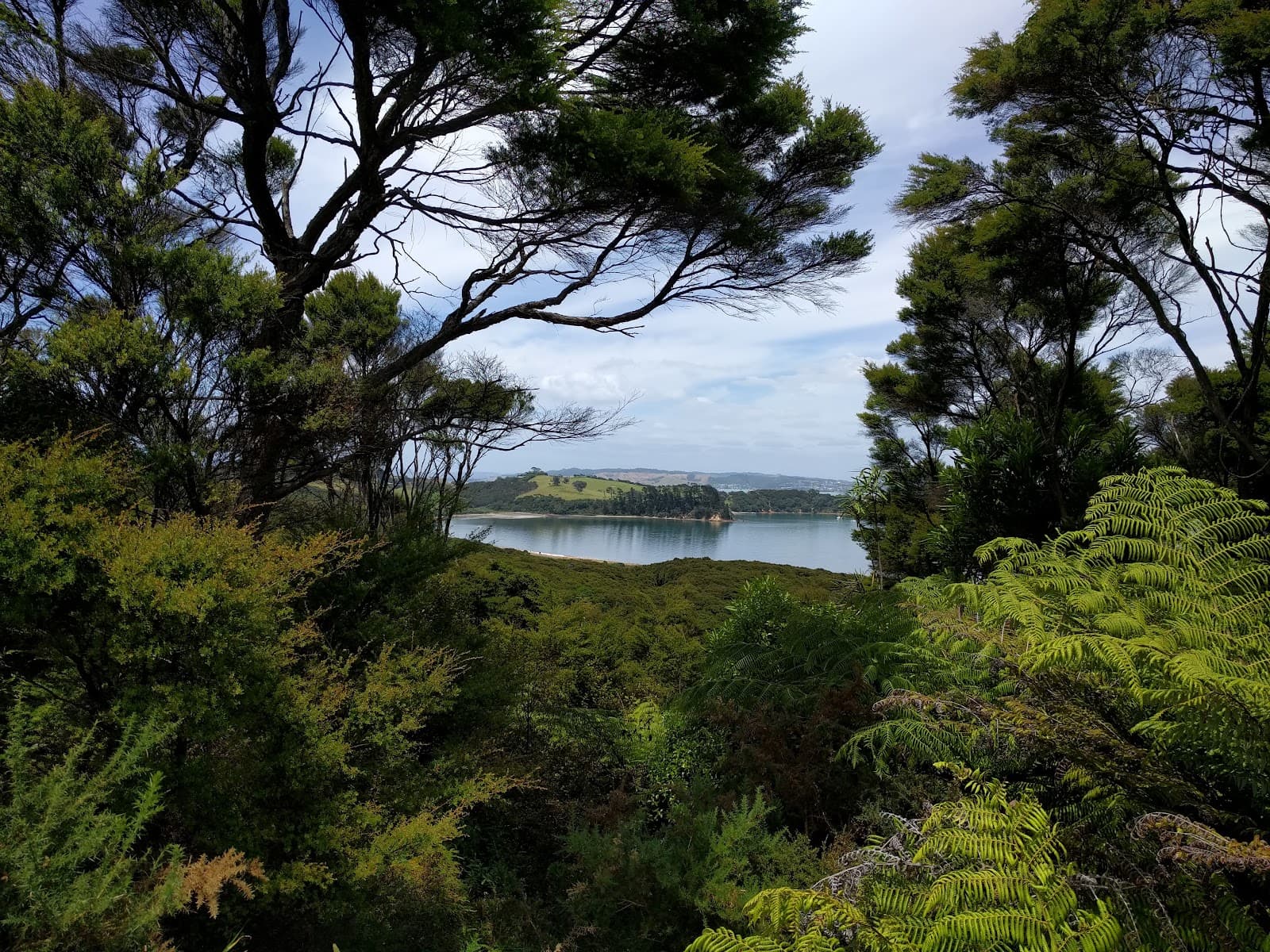 Whakanewha Regional Park Waiheke Island - Image 1