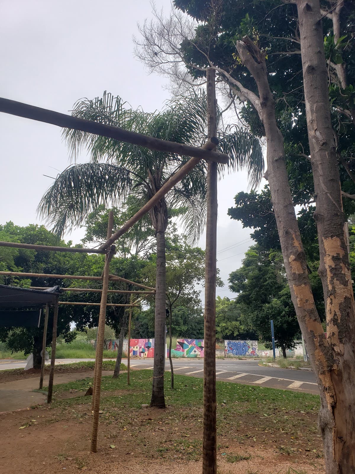 Praça do Coco Barão Geraldo - Image 1