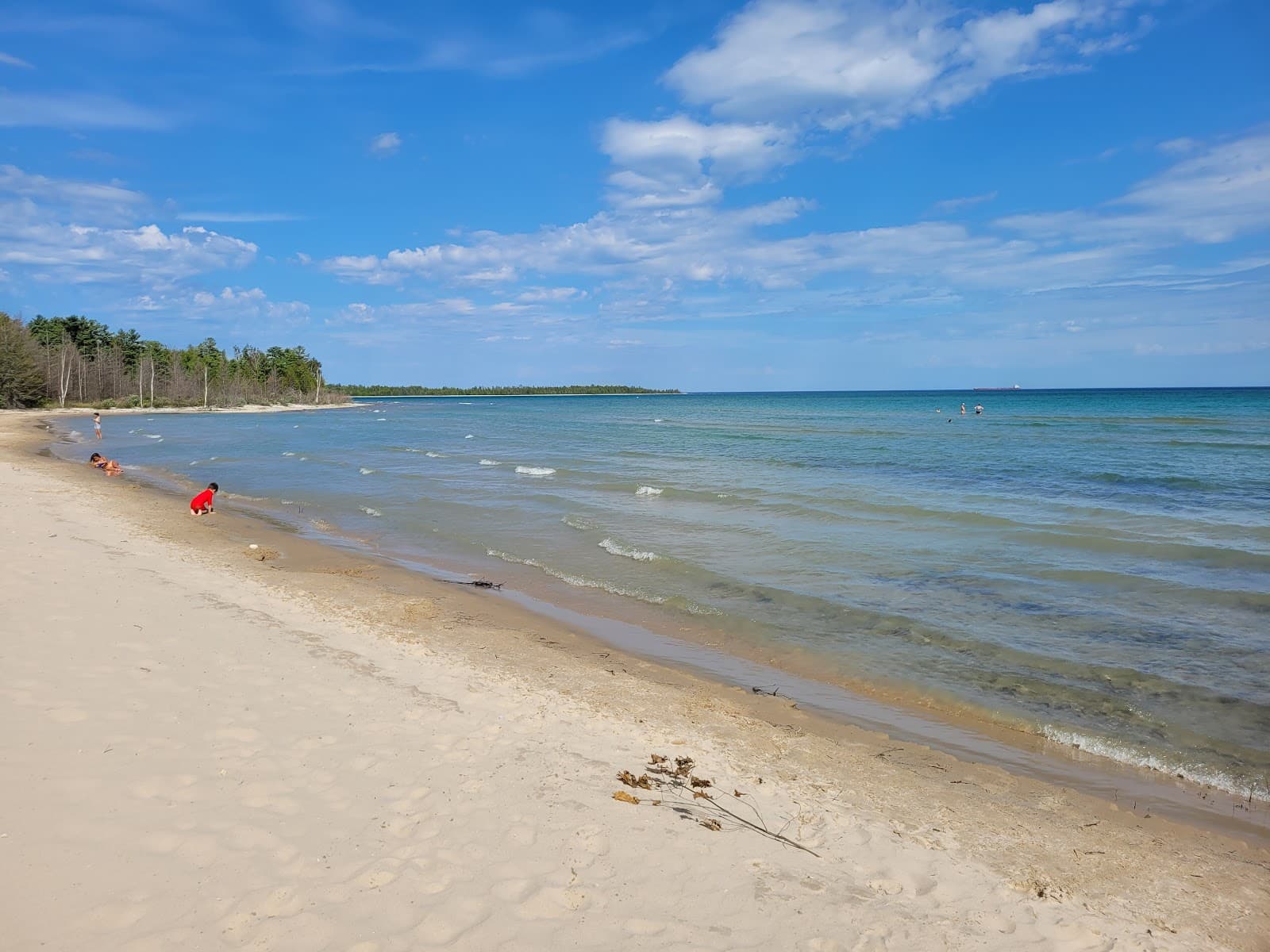 Besser Natural Area - Image 1