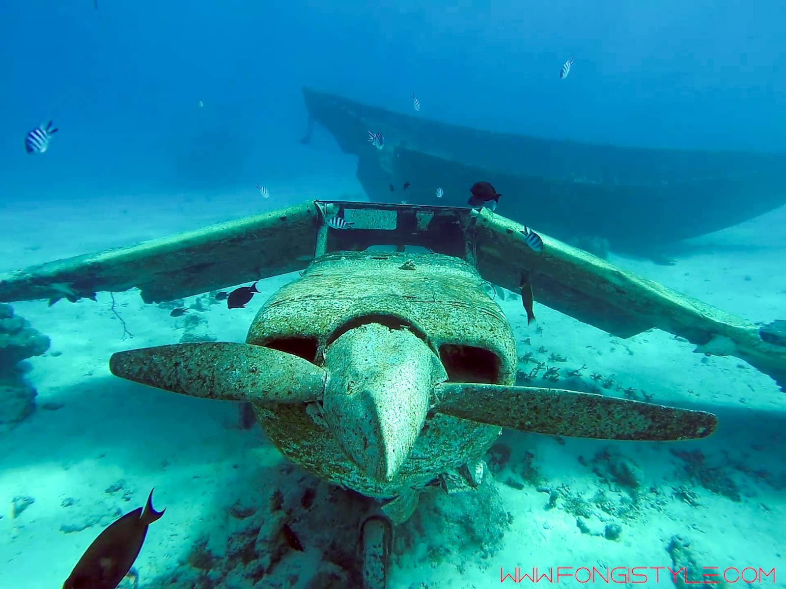 Artificial Reefs & Structures