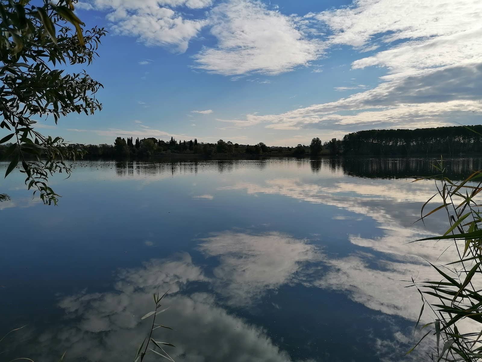 Scenic Lake Views