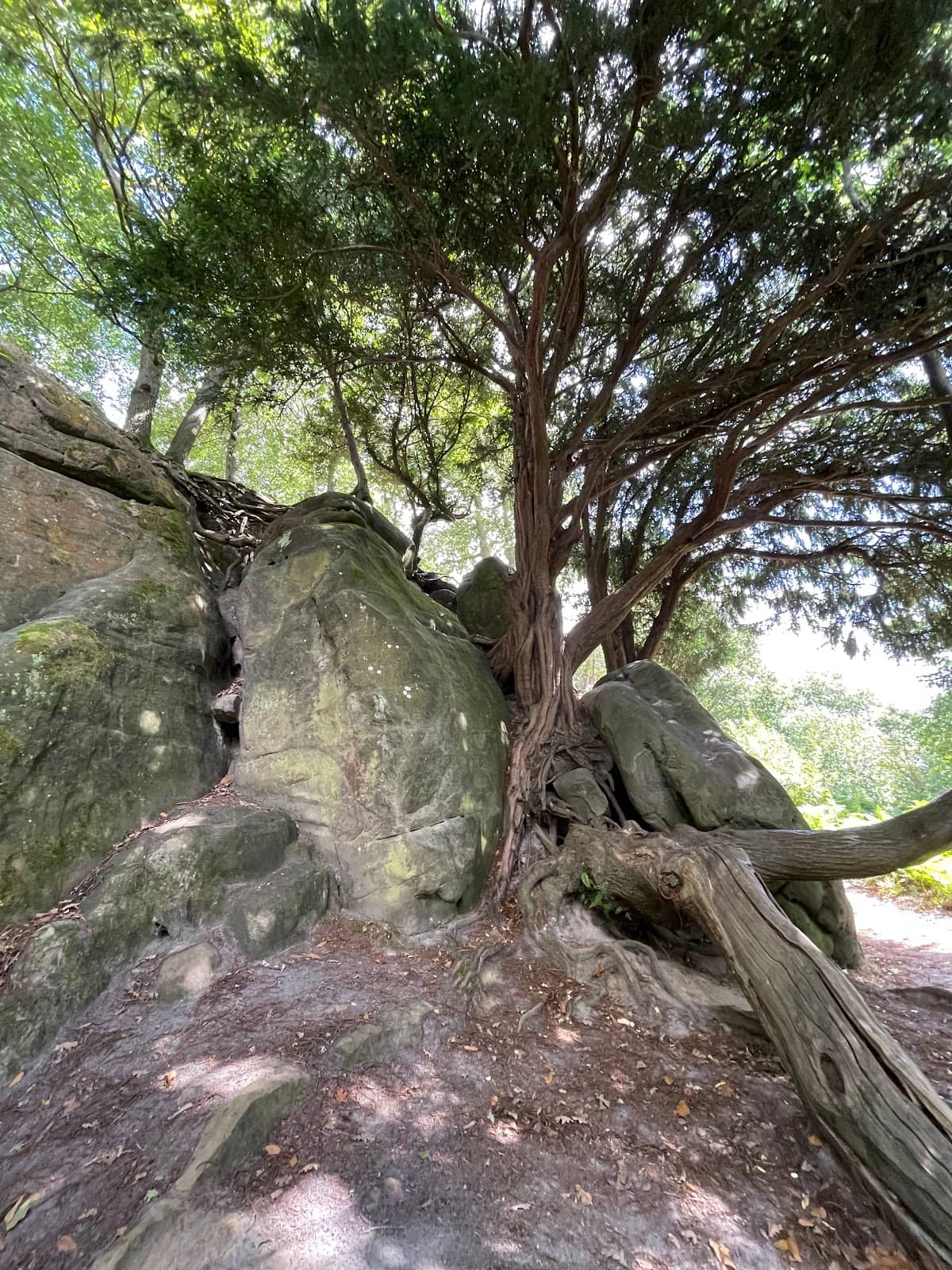 Millennium Stone Inspiration
