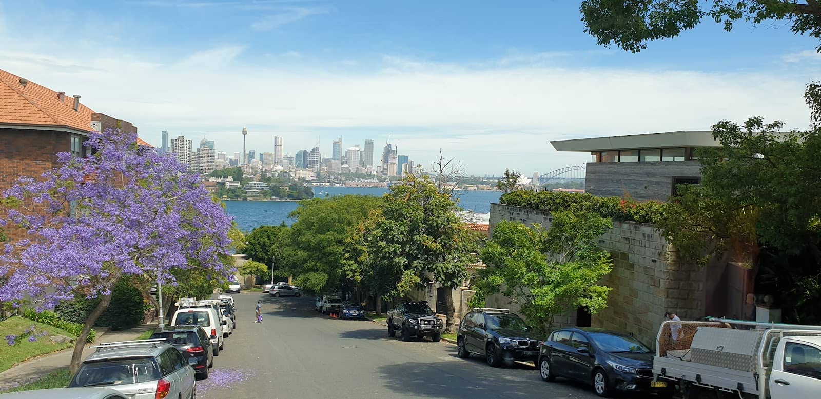 Harbour Views