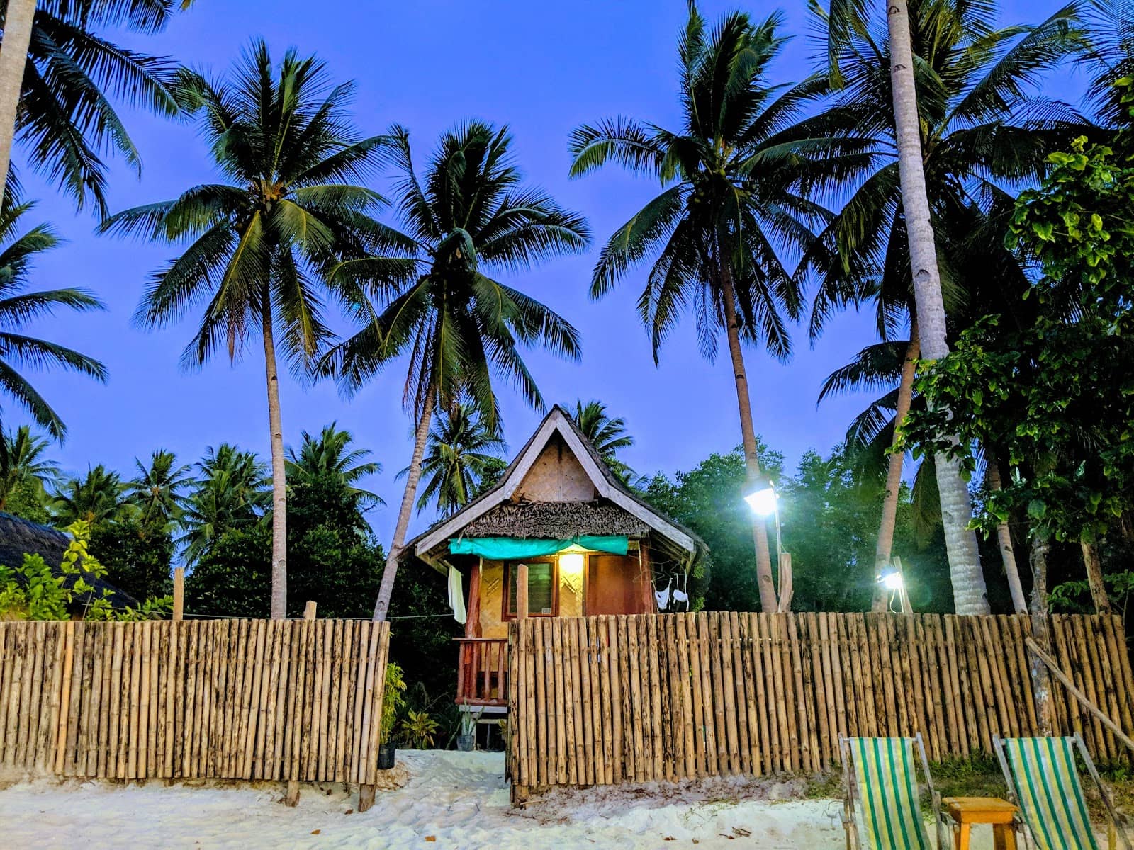 Tranquil Mangrove Views