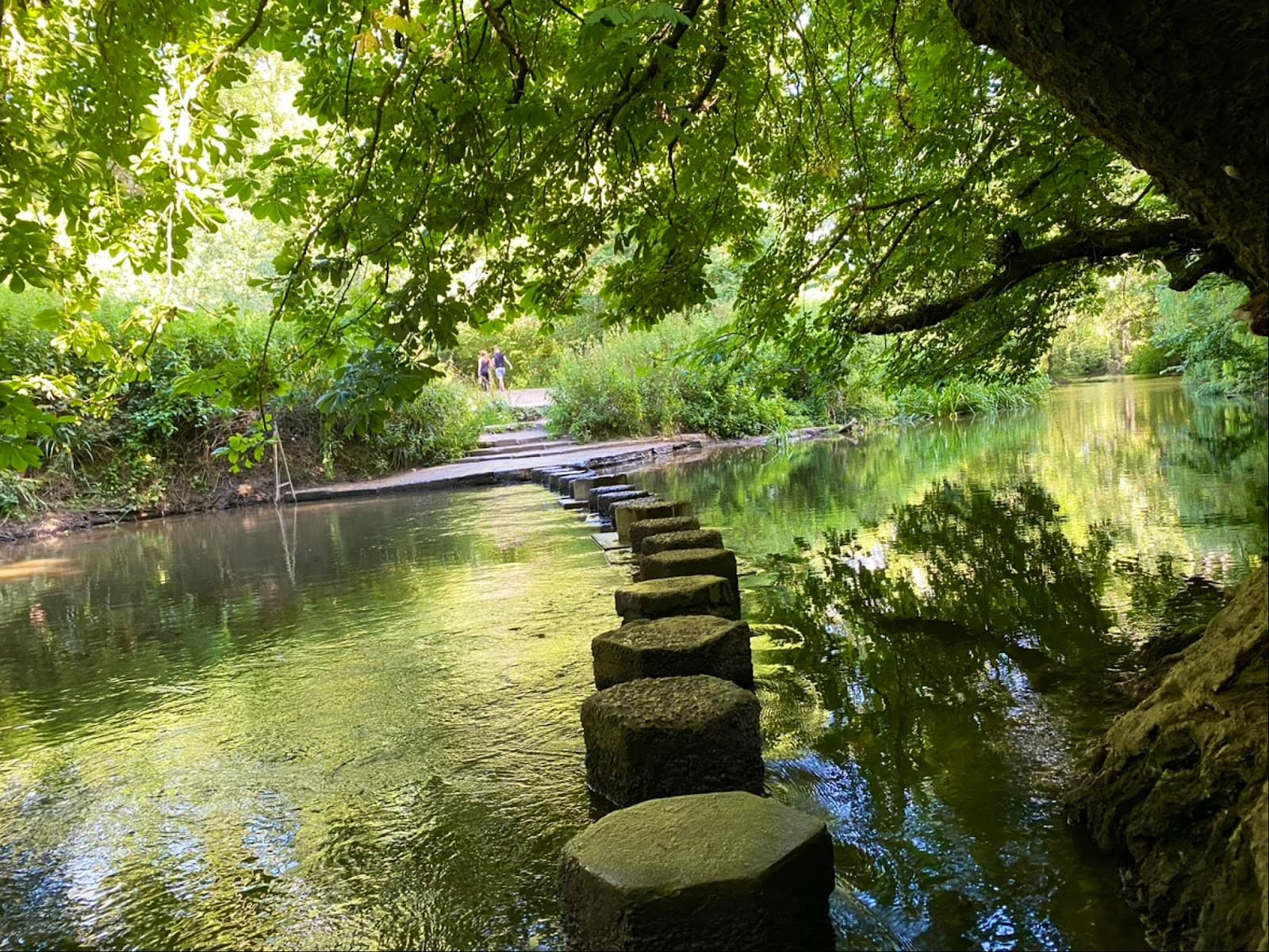 Stepping Stones (River Mole) - Image 1