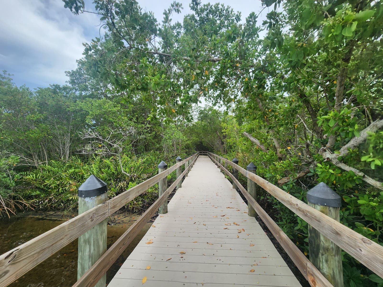 Little Hickory Island Beach Park - Image 1