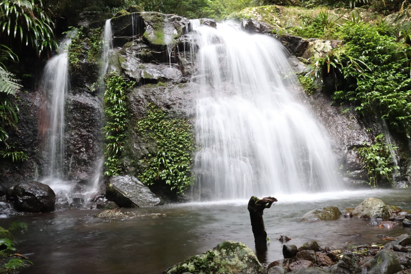 Coomera Falls Lookout - Image 1