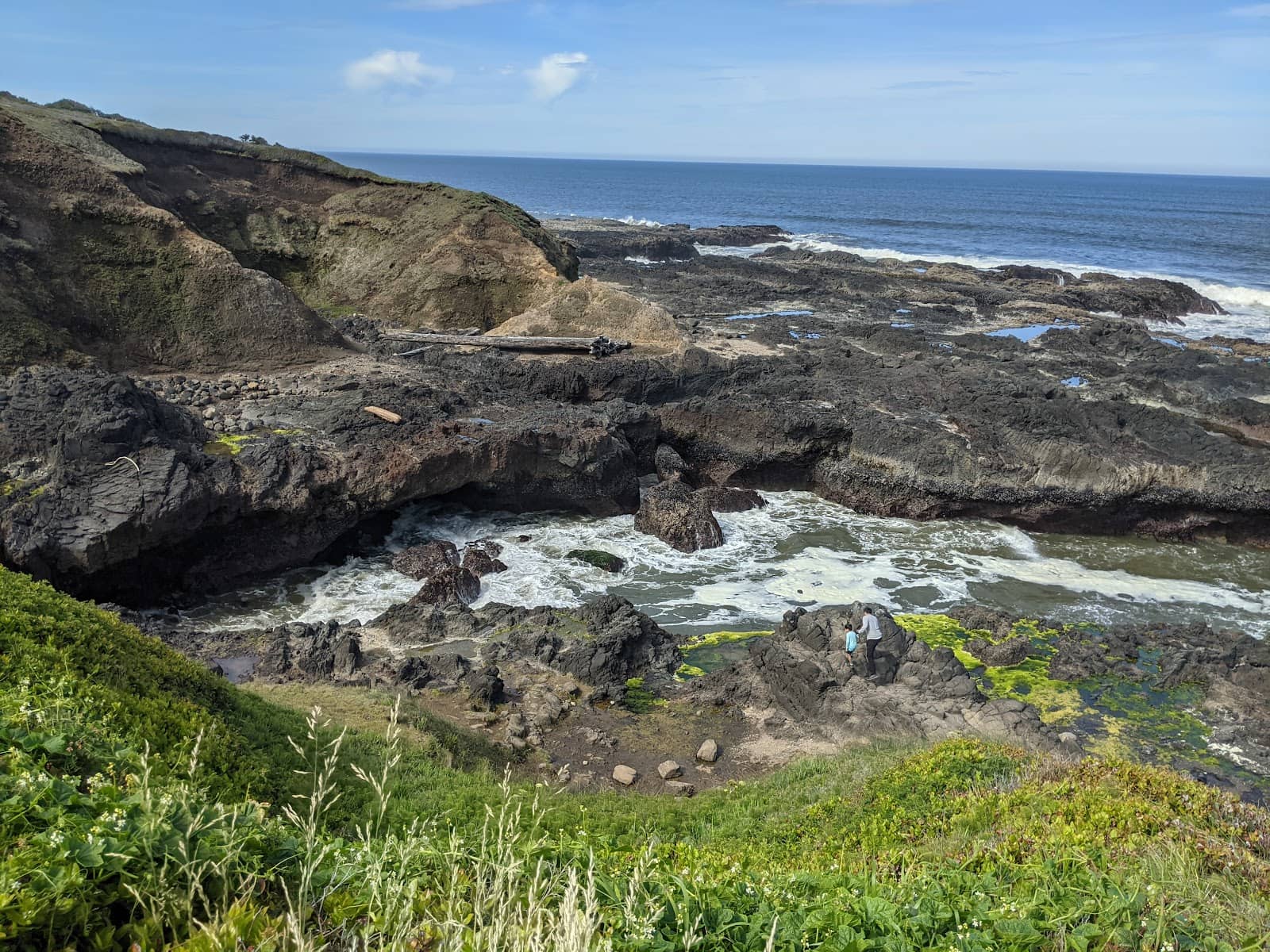 Tide Pools
