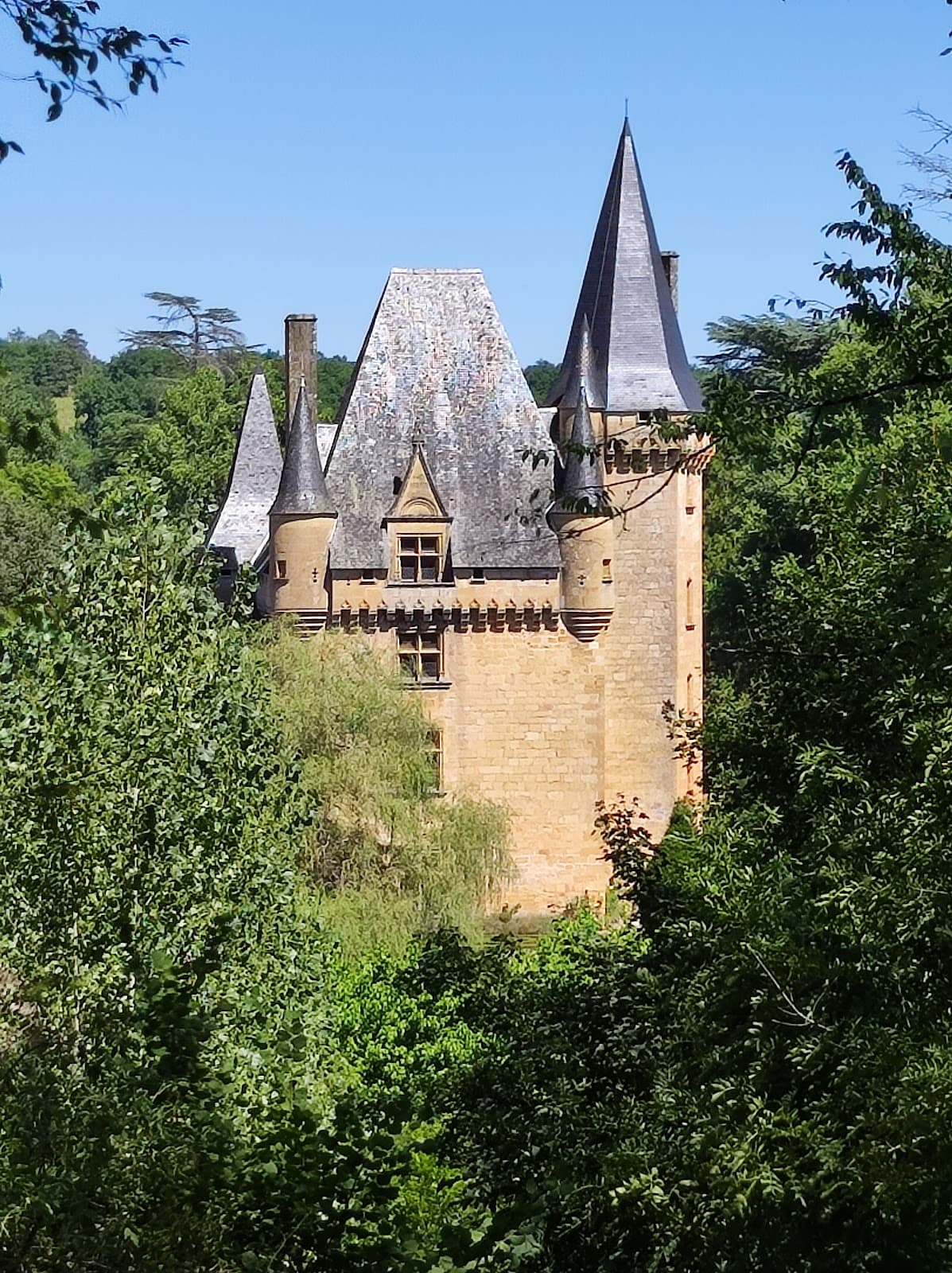 Saint-Léon-sur-Vézère - Image 1