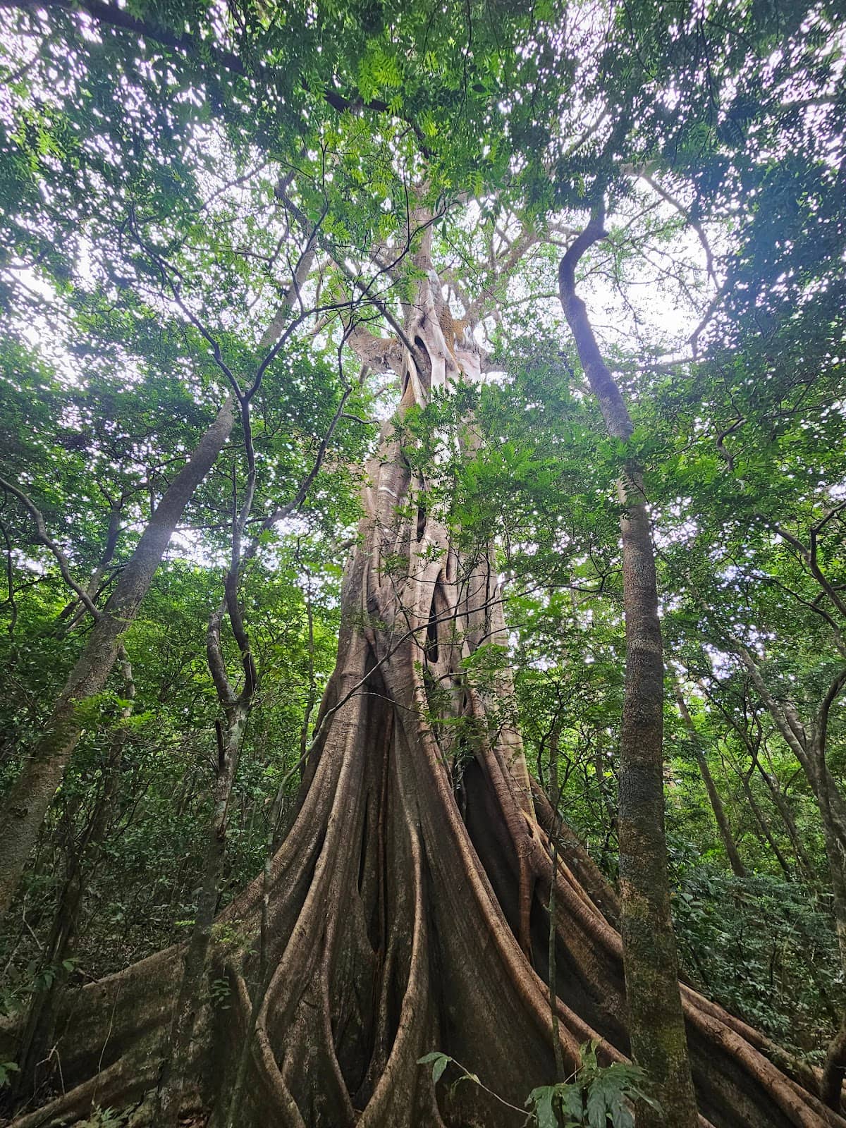 Vertical photo