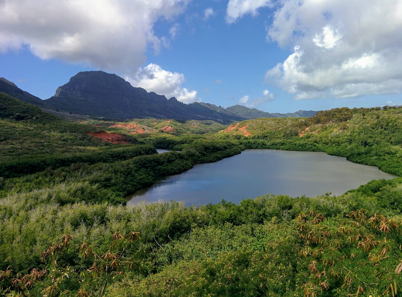 Malama Huleia Restoration Project