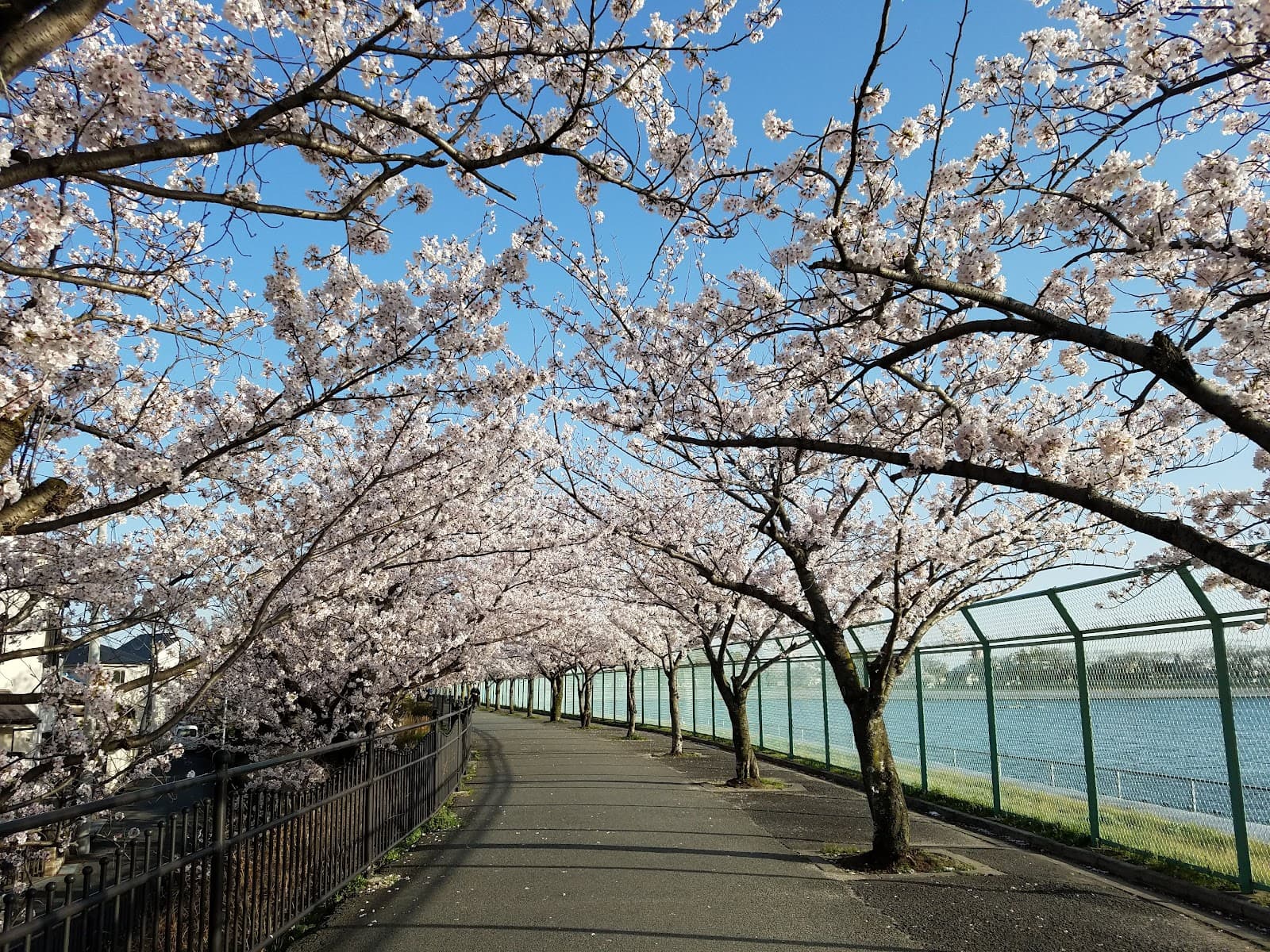 Zugaike Park - Image 1
